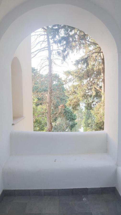 קאפרי Villa Enrica מראה חיצוני תמונה