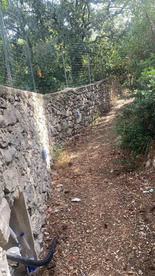 קאפרי Villa Enrica מראה חיצוני תמונה